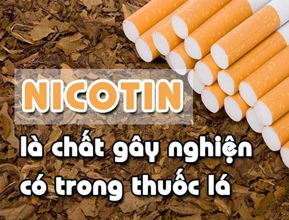 Nicotine L G V T C H I Ra Sao B O L O Cai I N T