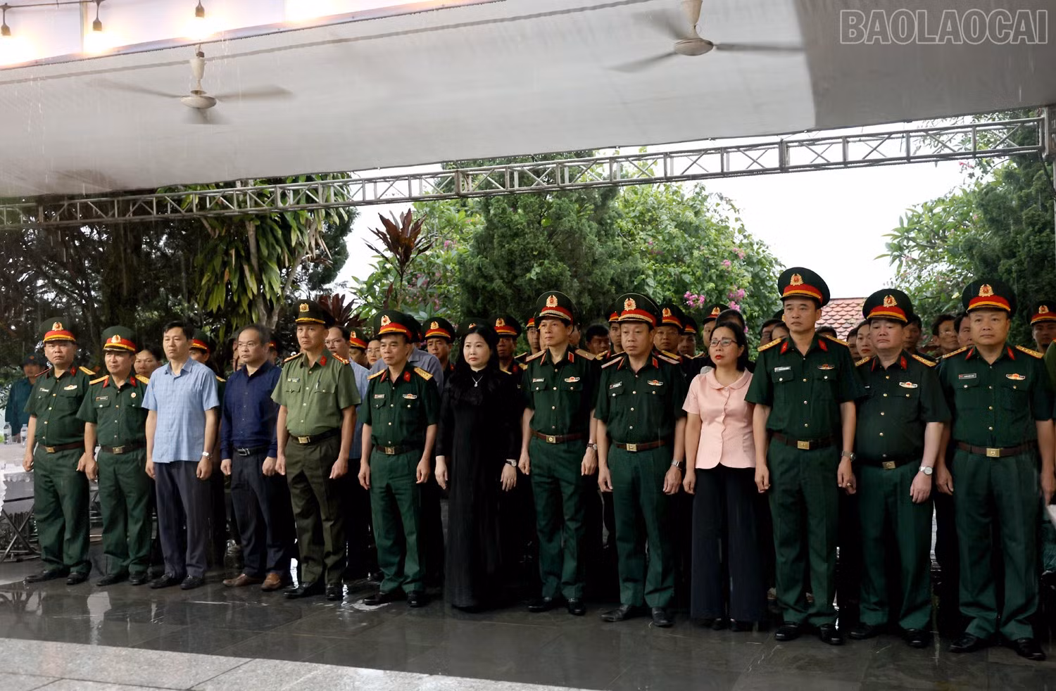 baolaocai-tr_1l8a8902c.jpg