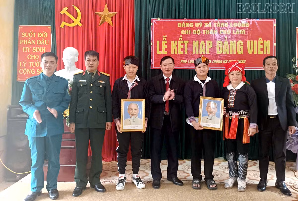 baolaocai-tr_dvtl2.jpg
