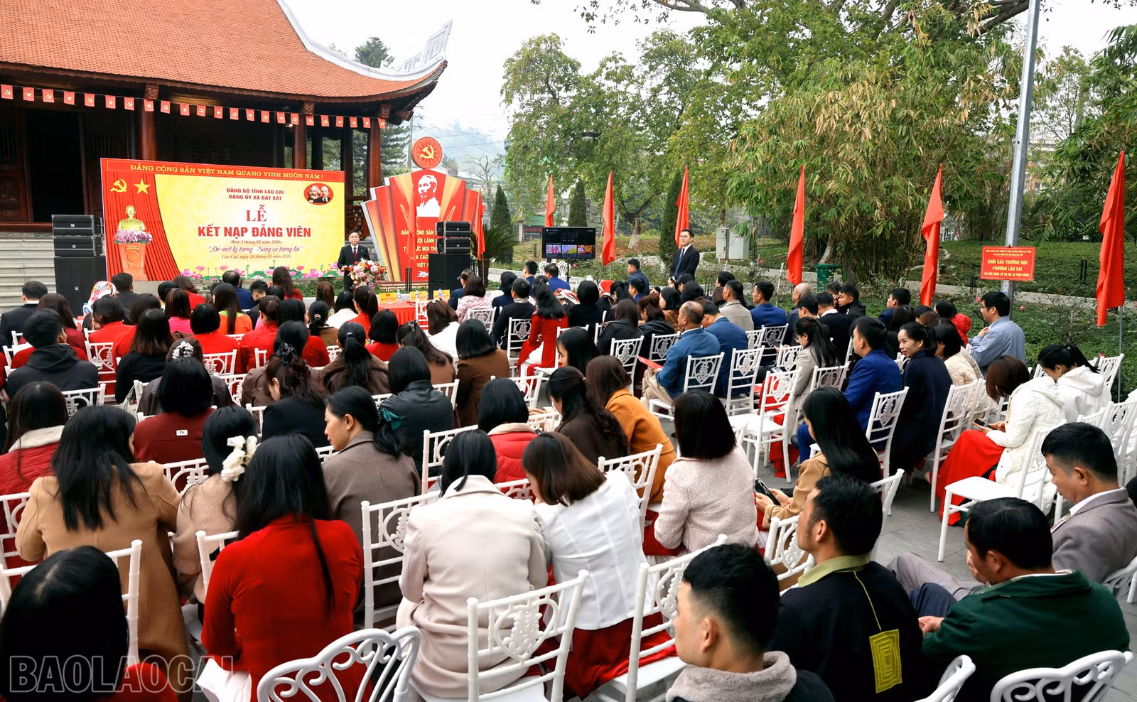 baolaocai-bl_bx2.jpg