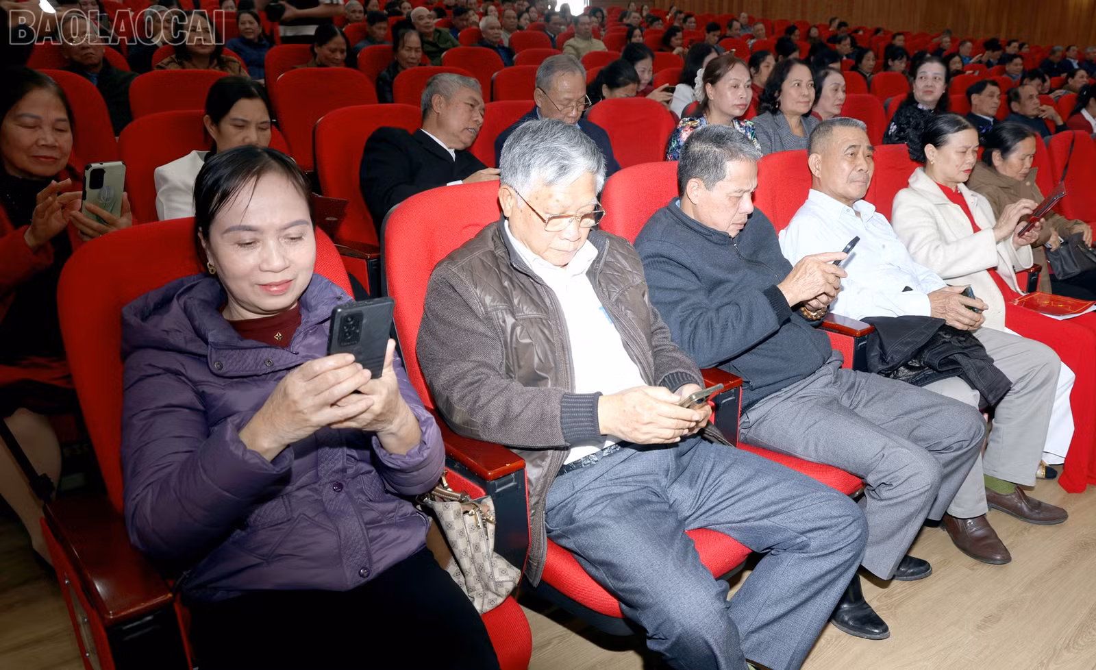 baolaocai-tl_cd3.jpg