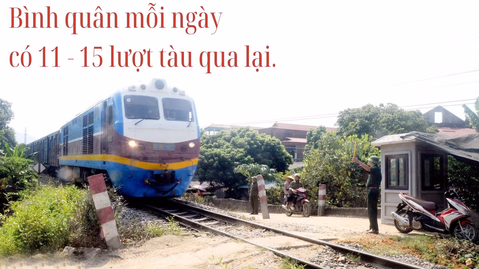 ndinh1c.jpg