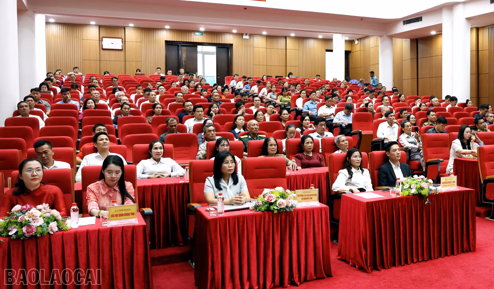 baolaocai-bl_1l8a8167c.jpg