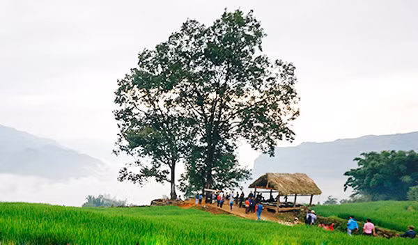 Địa đểm tổ chức Lễ hội Khô Già Già thường là một bãi đất rộng cạnh bìa rừng. Nơi đây có lán thờ được người dân làm bằng gỗ, lợp mái cỏ. Lễ hội Khô Già Già năm nay diễn ra từ ngày 23 - 27/7/2018 (từ ngày Thìn đến ngày Thân, tháng 6 âm lịch). Mở đầu là nghi thức mổ trâu hiến tế thần linh thu hút đông thanh niên, trai tráng tham gia. Vào ngày hôm sau, mỗi gia đình đều tự chuẩn bị mâm lễ vật mang đến rừng làm lễ cúng thần linh. Mỗi mâm lễ, ngoài thịt trâu còn có các nông sản do người dân tự trồng cấy, chăn nuôi được như thịt gà, thịt lợn, đậu tương, bí đỏ, lạc rang, rượu trắng… Thầy cúng tại thôn Choản Thèn, xã Y Tý chuẩn bị đồ cho lễ cúng. Hai thầy cúng chính thực hiện nghi lễ cúng thần đất, thần nước, thần rừng. Các thầy cúng còn làm lễ cúng tại cột đu quay, đu dây và thực hiện nghi thức thử đu để kiểm tra độ an toàn trước khi cho phép người dân và trẻ em tham gia. Sau nghi lễ cúng, các mâm lễ vật được chuyển vào lán thờ và đại diện các gia đình ngồi ăn cơm, uống rượu, chia sẻ kinh nghiệm sản xuất. Người dân trong thôn được nghỉ 3 ngày để vui chơi, kiêng vào rừng chặt cây, lấy củi, đào đất… Lễ hội Khô Già Già chứa đựng ý nghĩa nhân văn sâu sắc, được đồng bào Hà Nhì đen trên vùng cao Bát Xát gìn giữ qua nhiều thế hệ.