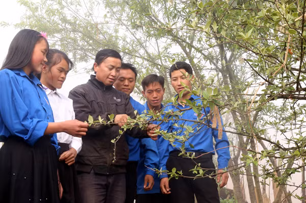 Các đảng viên, đoàn viên chia sẻ kinh nghiệm phát triển kinh tế.