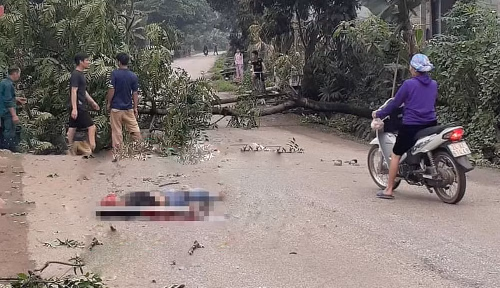 Hiện trường vụ việc.