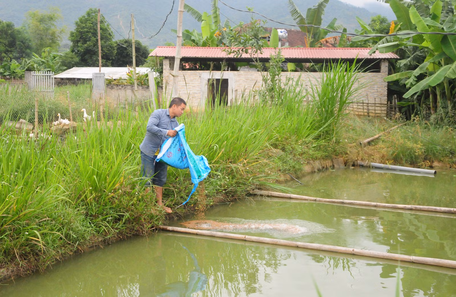 Ngôi dinh thự trăm tuổi ảnh 4