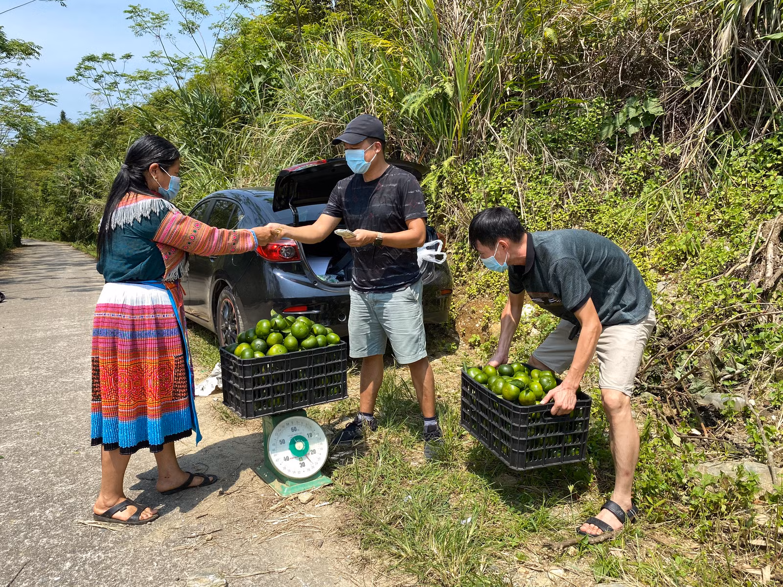 Quýt Mường Khương được coi là cây xóa đói, giảm nghèo cho các hộ đồng bào dân tộc Pa Dí, Mông ở Mường Khương. Quýt Mường Khương quả dẹt khi chín có màu vàng, vỏ mỏng, dễ bóc, vị ngọt và ít xơ. Quýt Mường Khương được chăm sóc cẩn thận. Quả quýt năm nay được đánh giá chất lượng tốt, ngon ngọt hơn và cũng được giá cao hơn so với mọi năm. Quýt Mường Khương đã được cấp chứng chỉ 3 sao trong chương trình OCOP của Lào Cai. Nhiều khách hàng tại thành phố Lào Cai đến đặt và mua sản phẩm quýt Mường Khương.