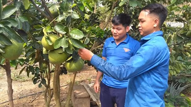 Mô hình kinh tế của anh Lý Văn Dũng được thanh niên trong xã đến tham quan, học hỏi kinh nghiệm