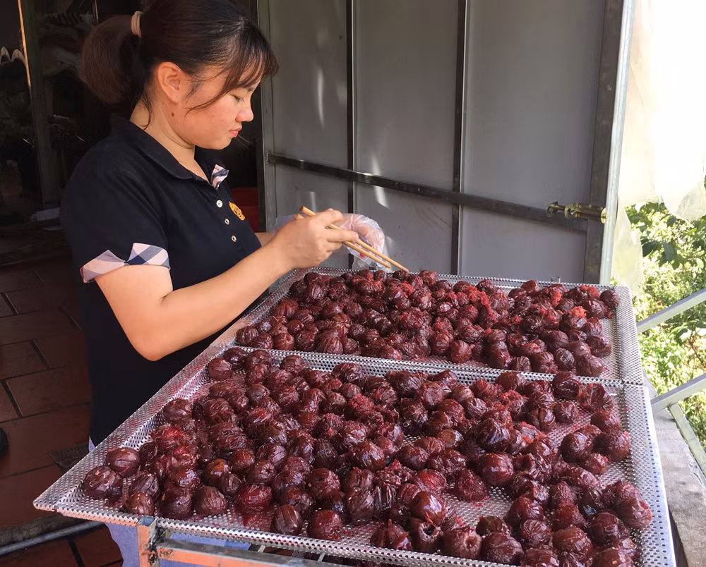 Chị Sải Thị Bích Huế chế biến mứt mận