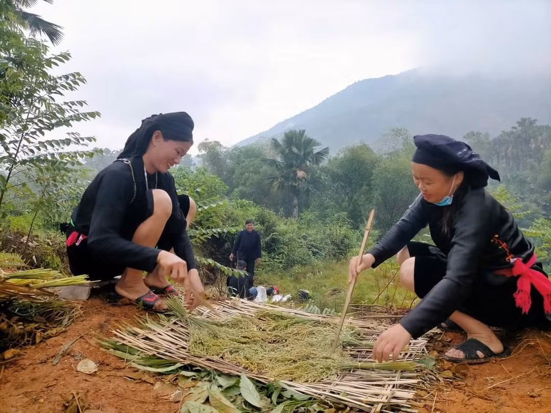Đưa hương cốm bay xa ảnh 2