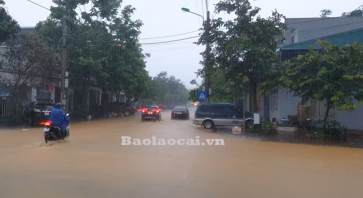 Đường Lê Thanh, phường Bắc Cường nước ngập và chảy như một dòng sông. Giao thông trên một số tuyến phố qua địa bàn phường Bắc Cường và Nam Cường bị ngưng trệ do ngập úng. Đường đi từ thành phố Lào Cai vào huyện Bát Xát, tại khu vực Cầu Sập (phường Duyên Hải) ngập sâu gây ách tắc giao thông. Ô tô của người dân thành phố Lào Cai bị ngập trong nước. Đường Trần Phú nối từ phường Kim Tân đi Bắc Cường và Nam Cường bị ngập sâu nhiều đoạn. Nhiều tuyến phố ngập sâu trên 1m. Nhiều tài sản của người dân bị hư hỏng do ngập nước. Cơ quan chức năng đã điều động nhân lực có mặt tại các điểm ngập lụt để phân luồng giao thông. Hiện, mưa đã ngớt, người dân khẩn trương khắc phục hậu quả ngập lụt.