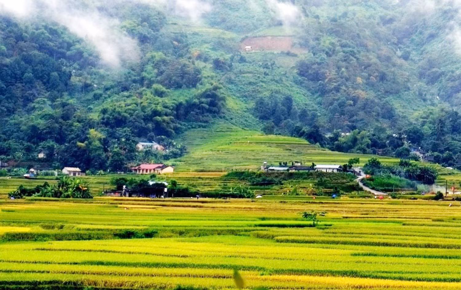 Ngày 30/10 sẽ khai mạc Giải đua xe đạp “Hương cốm Lào Cai” lần I năm 2021 ảnh 1