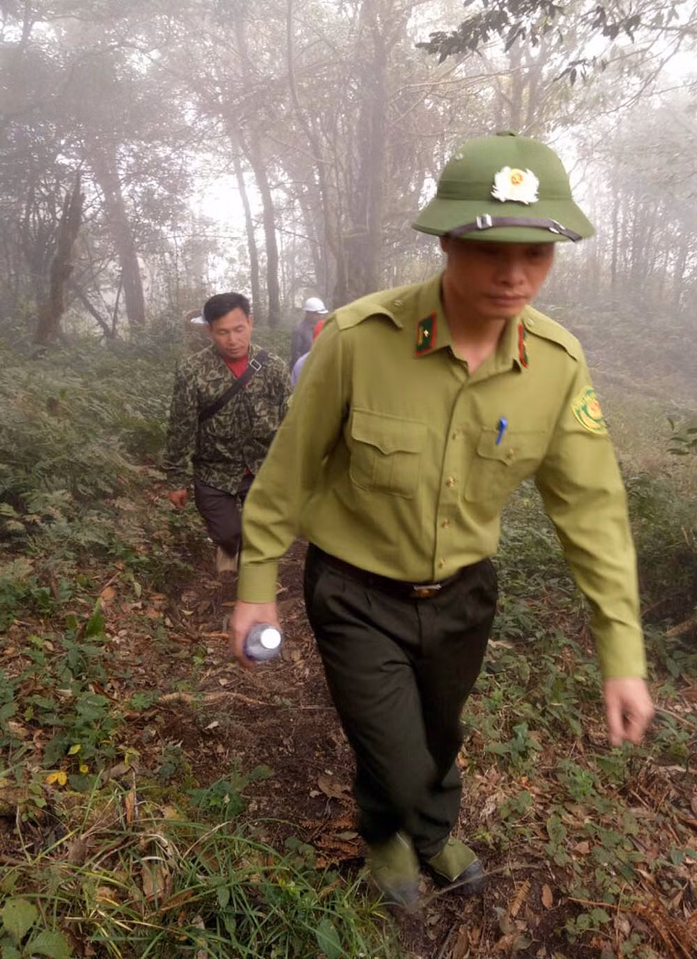 Tăng cường thực hiện các biện pháp quản lý, bảo vệ rừng ảnh 2
