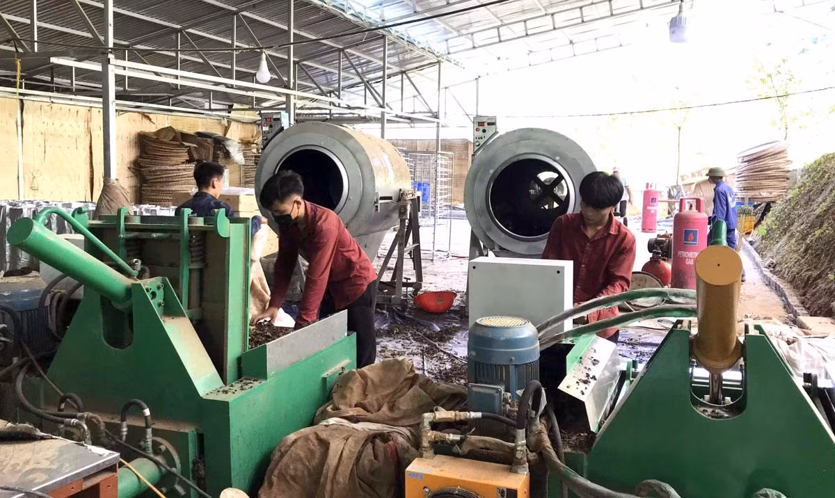 Công nhân Công ty TNHH MTV Mường Hoa đảm bảo tiến độ công việc.