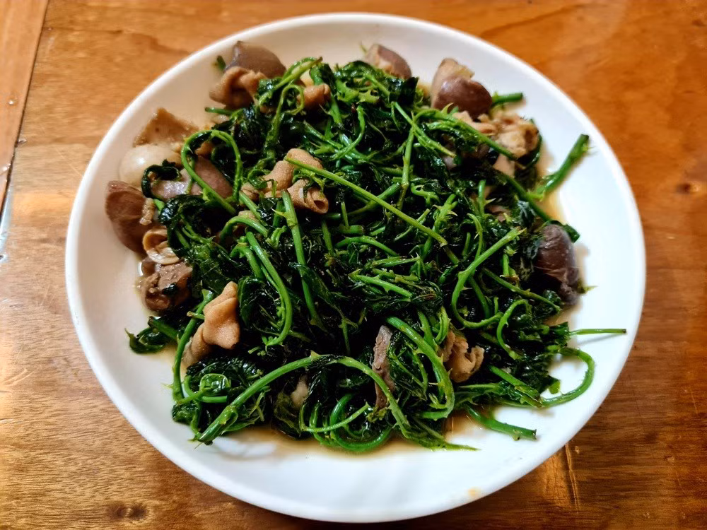 Rau gai của người vùng cao ảnh 1