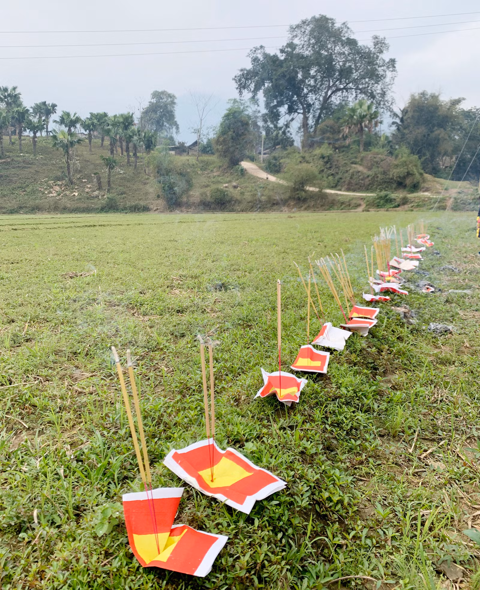 Mo Tham Thát là nghi lễ có ý nghĩa, giá trị về mặt địa lý, phong thủy và tín ngưỡng. Cánh đồng rộng trong thôn được thầy Mo chọn làm nơi chỉ hướng. Một tập giấy tiền, giấy vàng được đốt để thực hiện nghi lễ. Ba thầy mo thực hành vái ba vái thần linh, trời đất, rồi ông Mo Tham Thát đọc bài cúng, ý nghĩa như sau: Hôm nay có hương, hoa, năm mới đã đến, ông mo thay mặt dân làng đi chào ông Tham Thát… …Cầu mong ông phù hộ cho bản làng bình yên, người người mạnh khỏe, trồng lúa được mùa, có nhiều tiền bạc, đóng cổng làng cho yên (ngăn không cho cái xấu vào làng) cầu cho mọi thứ tốt đẹp vào làng. Ông Hoàng Văn Kể, thầy mo làng, người chủ trì nghi lễ Mo Tham Thát. Sau khi những nén hương được thắp, đã chọn được hướng kiêng, thầy mo sẽ chỉ cho người dân trong thôn, xã biết năm nay làm nhà, chuồng trại, đi buôn bán, hay đi rừng… phải kiêng hướng đã chọn. Năm Tân Sửu hướng kiêng là hướng Đông. Sau khi đã xác định chỉ hướng kiêng xong, thanh niên nam, nữ thi tài bắn nỏ, trước khi thi, ông mo thực hành nghi lễ bắn trước, sau đó thanh niên nam, nữ mới trổ tài. Nam, nữ thanh niên đội văn nghệ, thể thao mang theo nỏ và tên để thi nhau tranh tài bắn thủng tập giấy tiền vàng với ý nghĩa bắn nát được tập giấy năm đó toàn thể thôn, bản được bình yên, may mắn, phát triển.