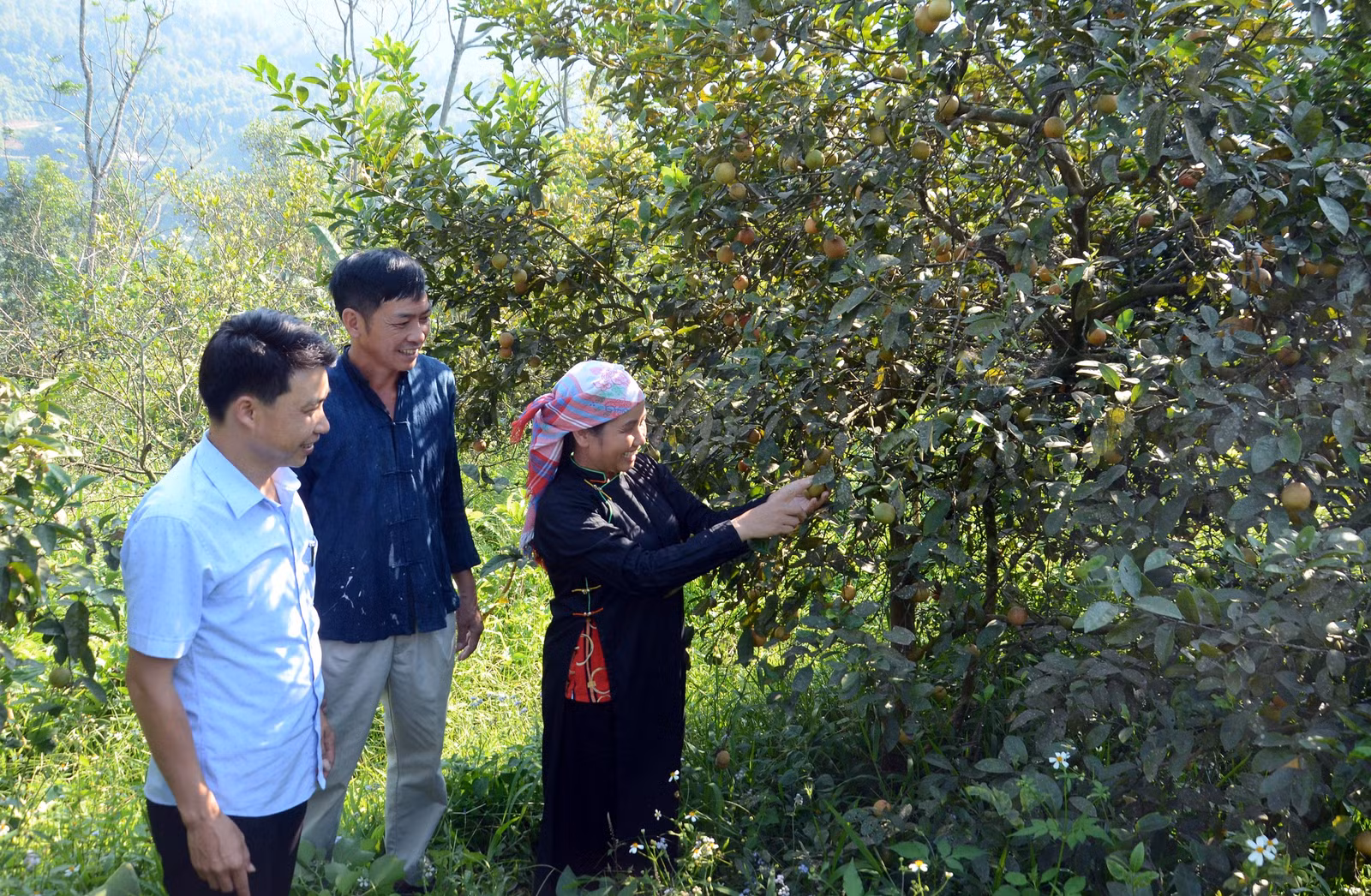 Phát huy tính tiền phong của đảng viên người dân tộc thiểu số ảnh 3