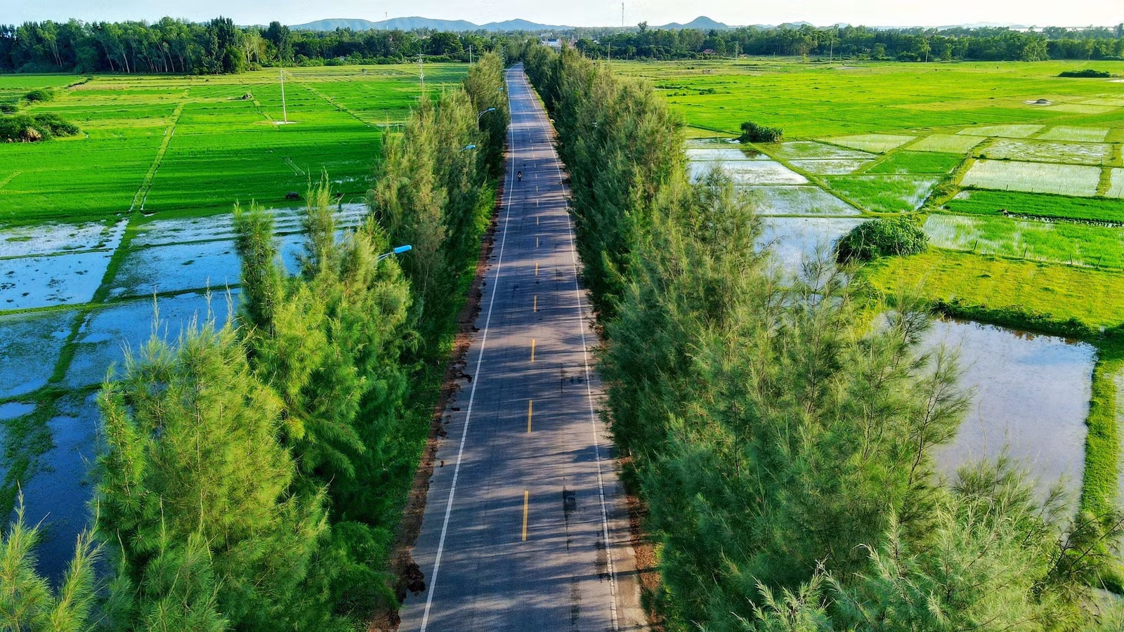 Một ngày làm ngư dân ở biển xanh Móng Cái: Săn hải sản ăn liền, đạp xe giữa hàng dương ảnh 4
