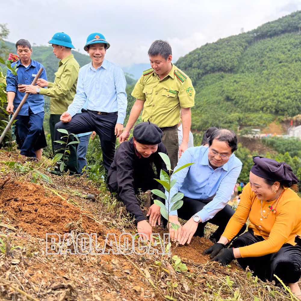 Các đại biểu tham quan vườn quế giống tại xã Vĩnh Yên. Các đại biểu cùng Nhân dân trồng quế theo tiêu chuẩn hữu cơ.