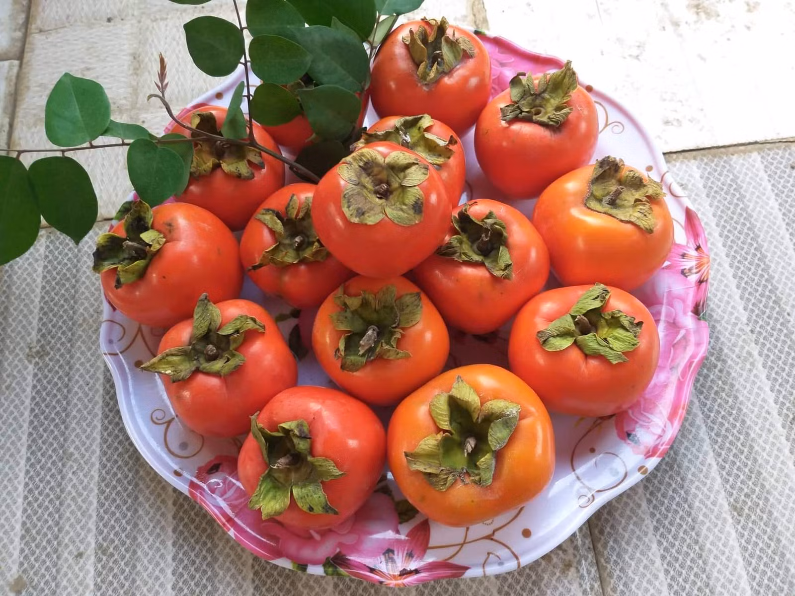 Món quà của mùa thu ảnh 1 Món quà của mùa thu ảnh 1