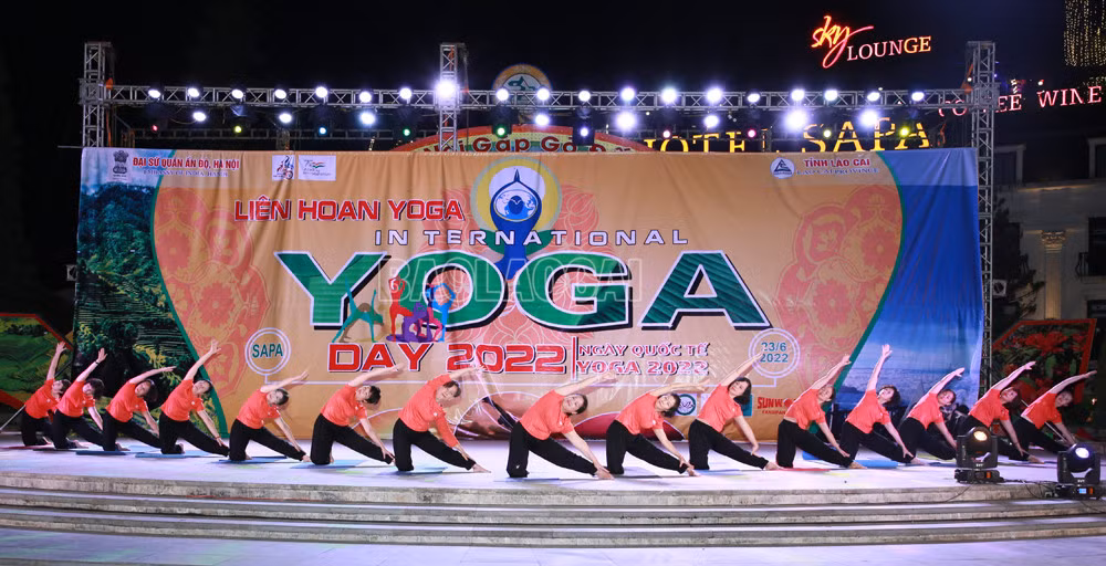 Giao lưu văn hóa Việt Nam - Ấn Độ tại Liên hoan Yoga năm 2022 ảnh 3