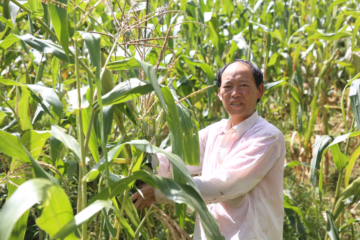 Anh Giàng Seo Nùng, Bí thư Chi bộ thôn Hòa Bình.