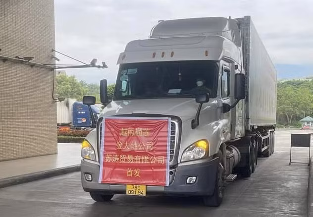 Lần đầu tiên quả sầu riêng xuất khẩu chính ngạch qua Cửa khẩu Quốc tế đường bộ số II Kim Thành ảnh 2
