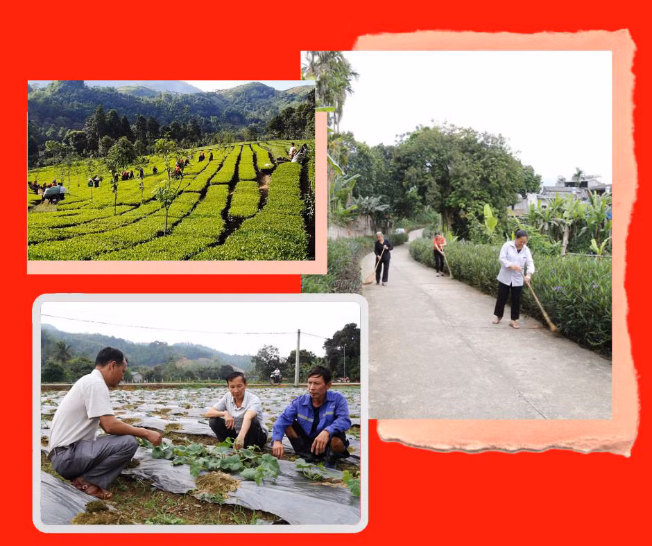 Đổi mới phương thức lãnh đạo ở Đảng bộ Bảo Thắng ảnh 6