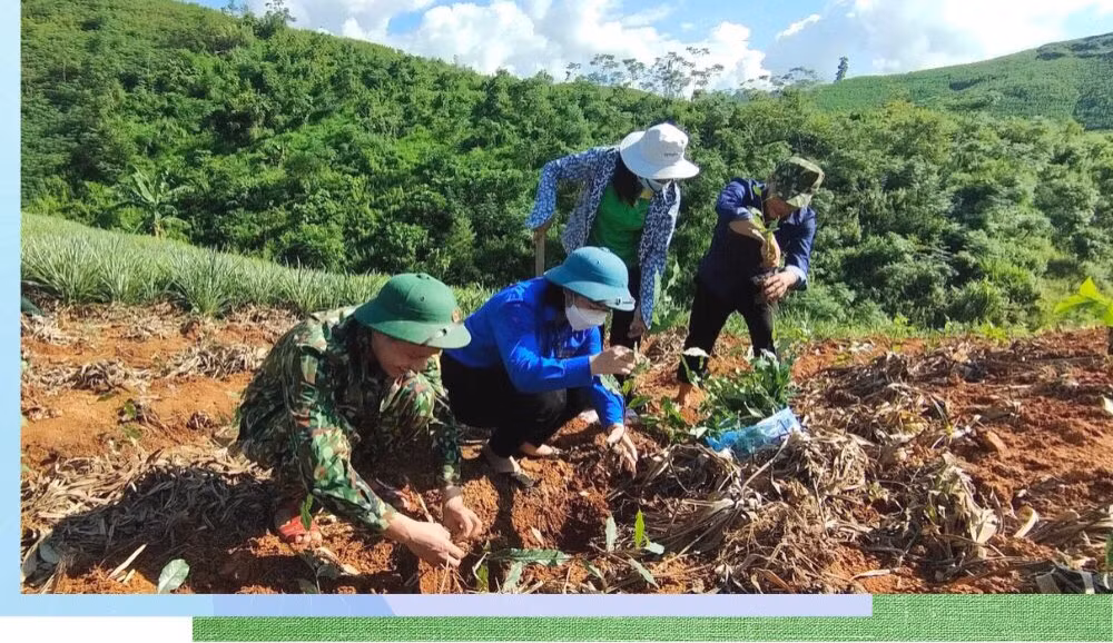 Đại úy Nguyễn Quốc Dũng hướng dẫn bà con xã Bản Lầu trồng chè.