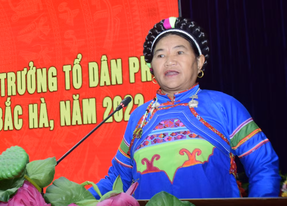 Bắc Hà gặp mặt bí thư chi bộ, trưởng thôn, tổ trưởng tổ dân phố, người có uy tín trên địa bàn ảnh 4