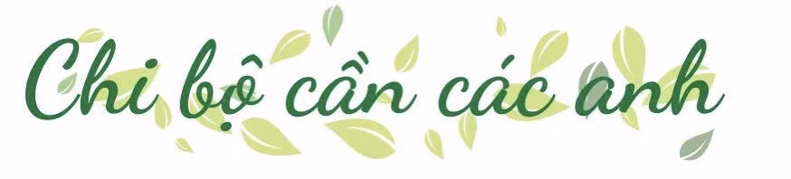 Bài 1: Khi cơ sở cần các anh ảnh 2