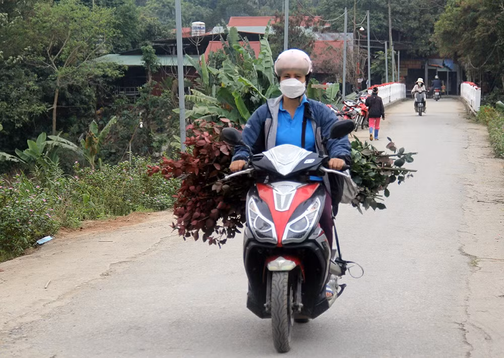 Nhộn nhịp làng hoa ven đô ảnh 10