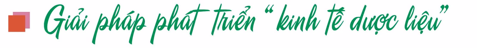 Chuyển từ “trồng dược liệu” sang “kinh tế dược liệu” ảnh 3