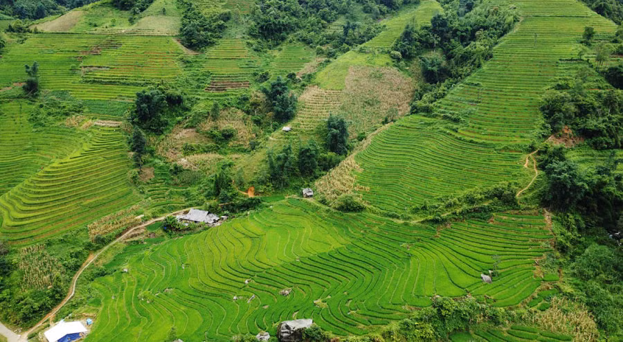 Toàn cảnh ruộng bậc thang 121 bậc ở thôn Vù Lùng Sung.