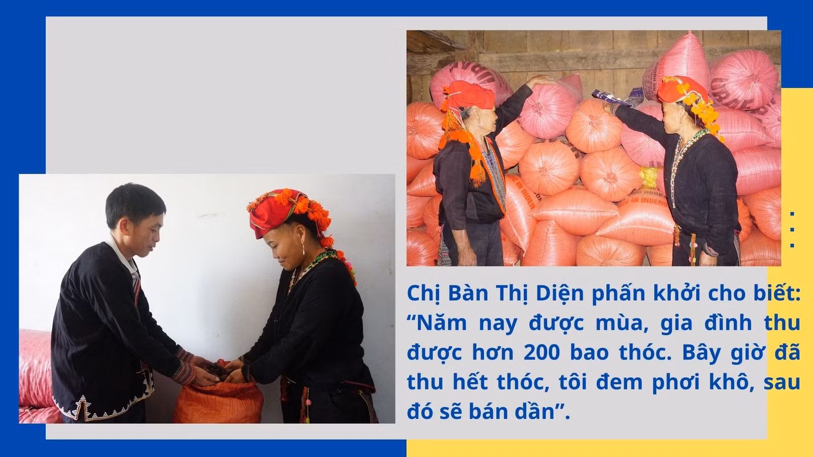 Mùa no ấm trên núi cao ảnh 7