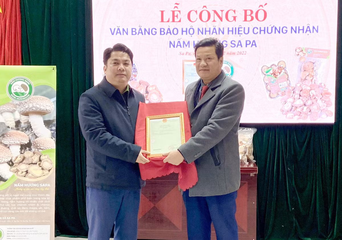 Trao Giấy chứng nhận đăng ký nhãn hiệu chứng nhận nấm hương Sa Pa cho UBND thị xã Sa Pa.