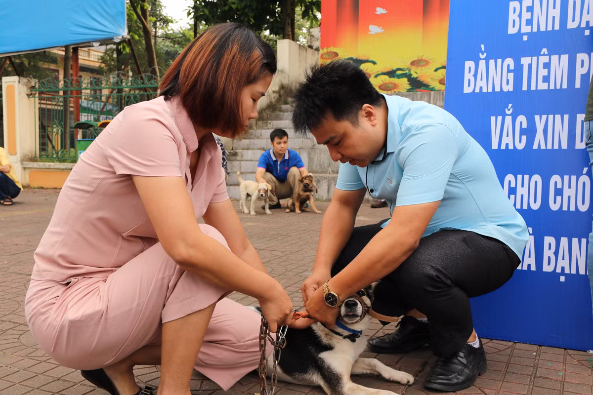 Tiêm vắc-xin cho chó, mèo để chủ động phòng ngừa bệnh dại.