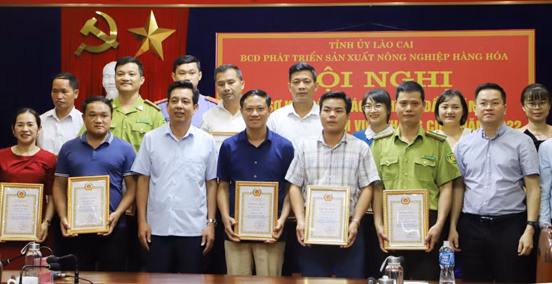 Tăng cường tuyên truyền, quyết liệt trong chỉ đạo, tổ chức thực hiện Nghị quyết 10-NQ/TU ảnh 6