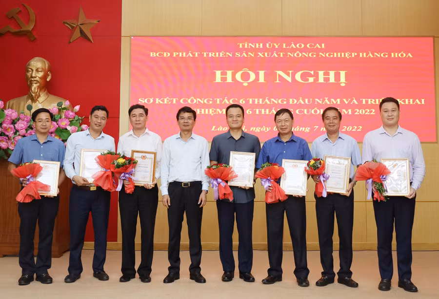 Tăng cường tuyên truyền, quyết liệt trong chỉ đạo, tổ chức thực hiện Nghị quyết 10-NQ/TU ảnh 5