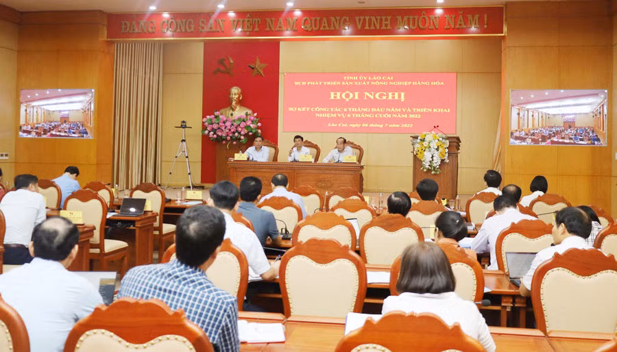 Tăng cường tuyên truyền, quyết liệt trong chỉ đạo, tổ chức thực hiện Nghị quyết 10-NQ/TU ảnh 1