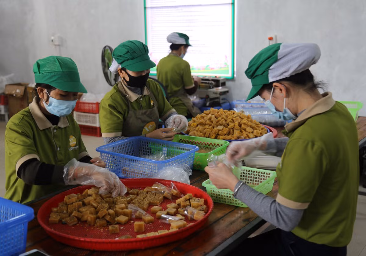 Khởi nghiệp từ trà thảo mộc ảnh 3