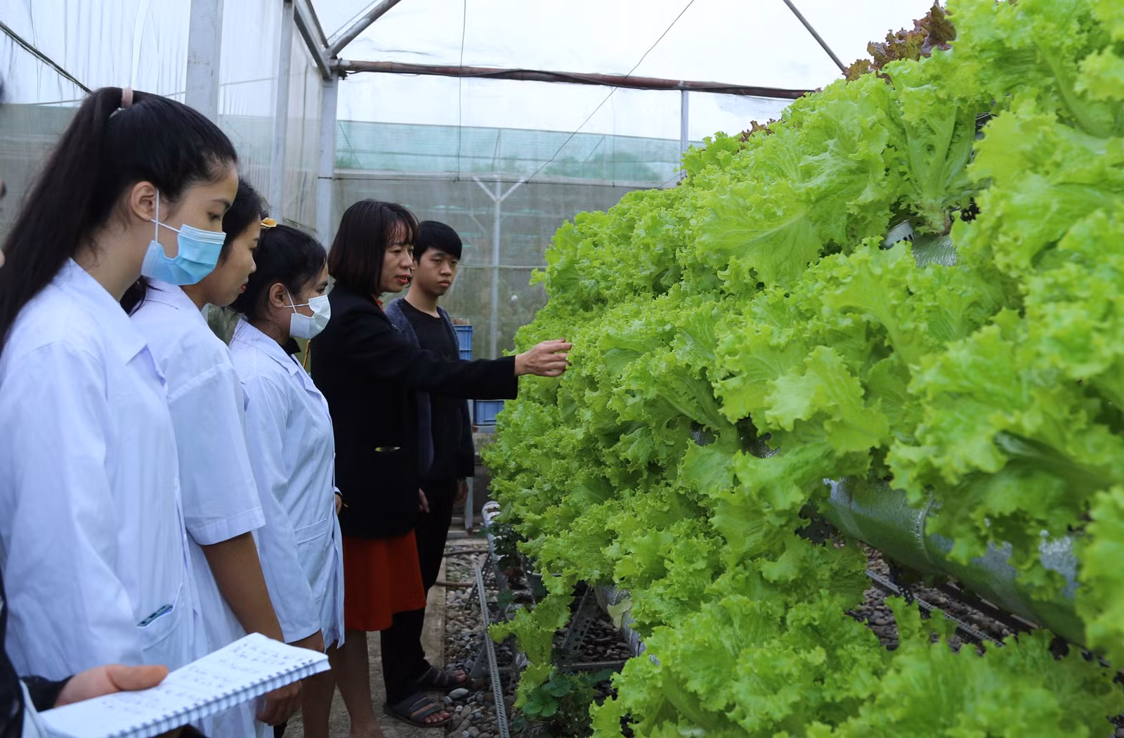 Các bạn sinh viên Lào và sinh viên Việt Nam tham quan mô hình trồng rau thủy canh.