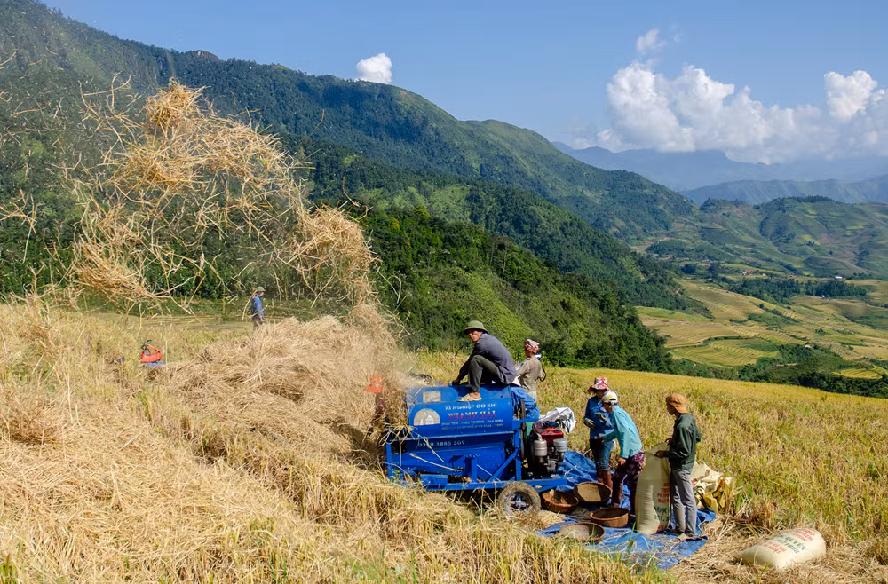 Vâng lời Bác dạy ảnh 1
