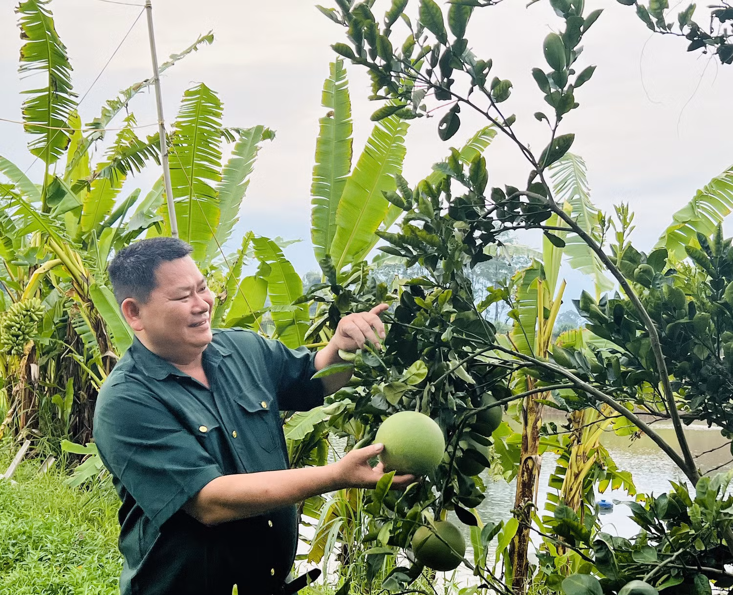 Ông Phạm Văn Hinh là điển hình trong phát triển kinh tế ở địa phương.