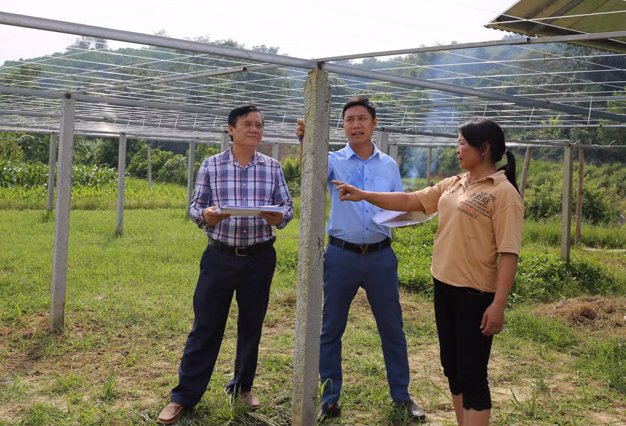 Người dân chuyển đổi đất sản xuất kém hiệu quả sang trồng rau được hỗ trợ kinh phí làm giàn.