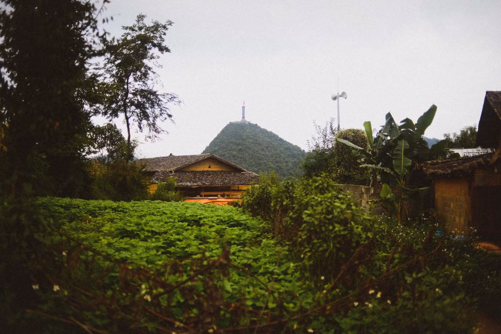 Thu về trên bản Lô Lô Chải ảnh 10