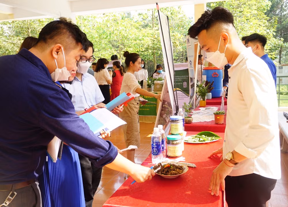 Chung kết Cuộc thi “Sinh viên nông lâm – Sáng tạo khởi nghiệp” ảnh 1