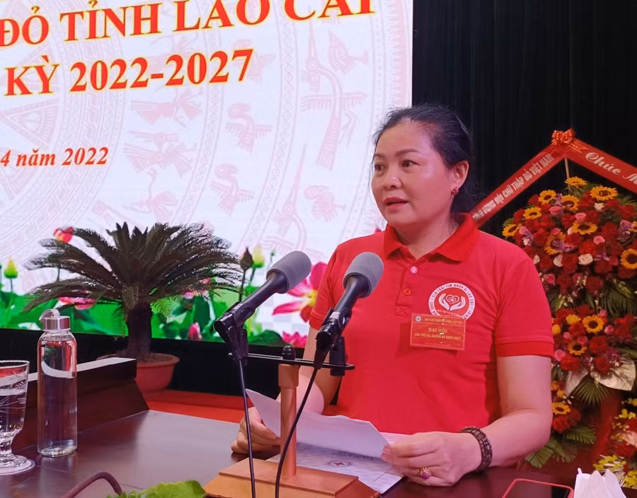 Bà Nguyễn Phương Thúy, Chủ nhiệm Câu lạc bộ Trái tim nhân ái Lào Cai tham luận tại Đại hội.