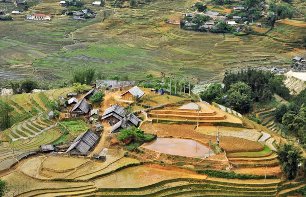 Đường nét Mường Hoa.